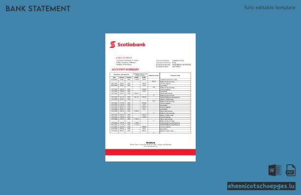 Beispiel eines Kontoauszugs der Scotiabank in Antigua und Barbuda